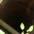 JPEG - 288.3 kio